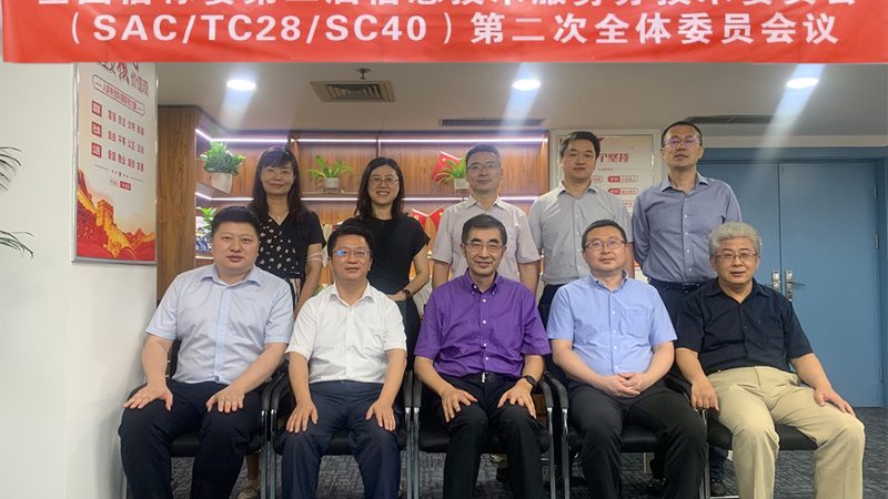IT外包服务：揭秘不同类型的服务范围与差异